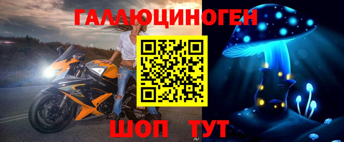 Галлюциногенные грибы GOLDEN TEACHER  Вход с VPN  Кингисепп 