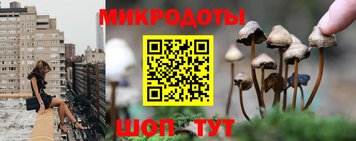 Галлюциногенные грибы MAGIC MUSHROOMS Кингисепп